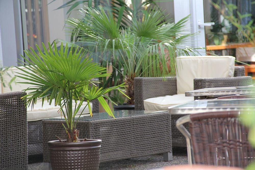 Eden Hotel Und Restaurant Ilanz/Glion Exteriör bild